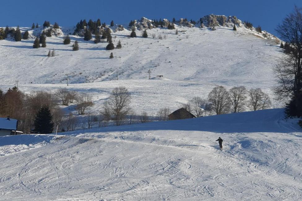 Le Chalet De Poche - Gite 2 Etoiles - 5 Pers Habère-Poche Eksteriør billede